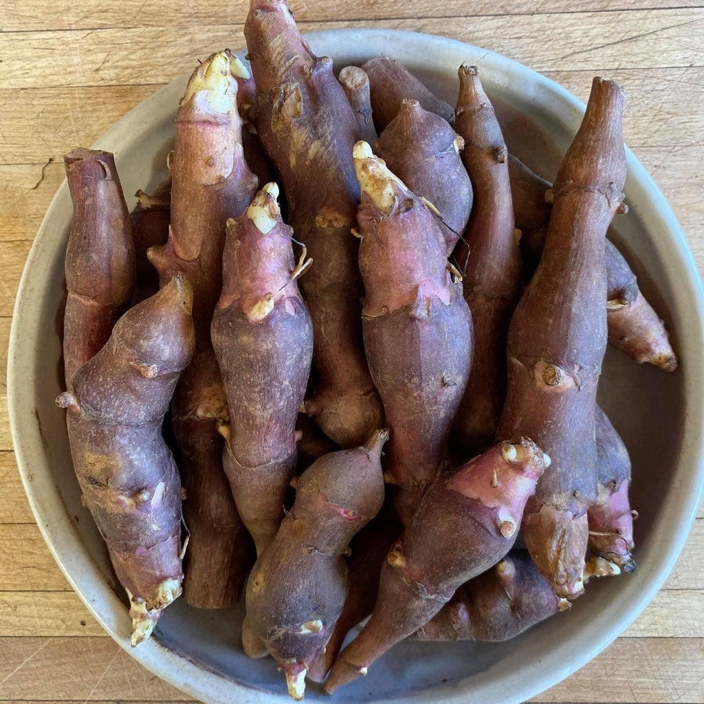 Topinambour Fuseau rouge - Bio