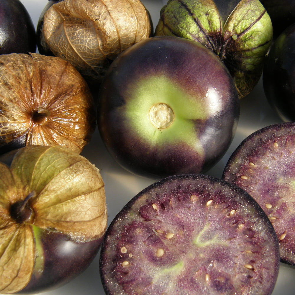 Tomatillo Purple - Bio