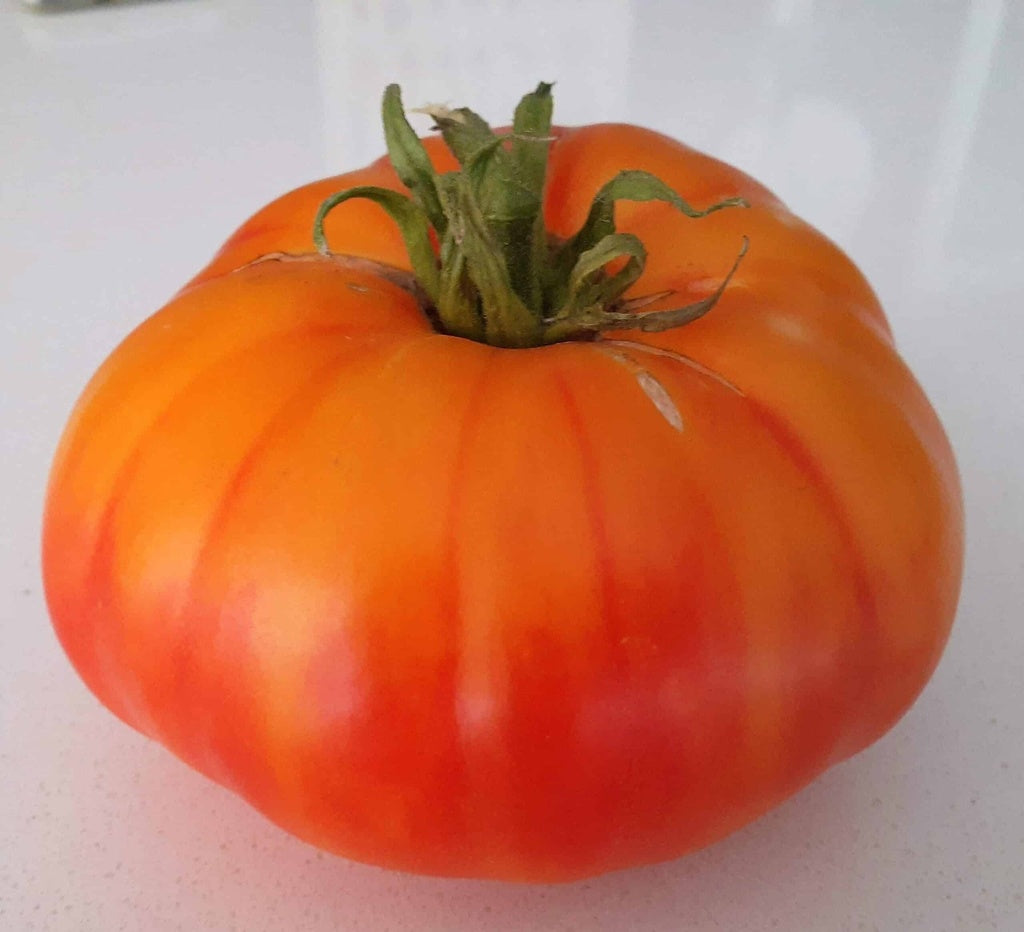 Tomate beefsteak Anawine - Bio