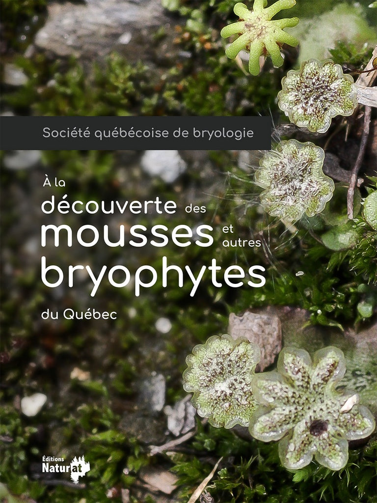 Discovering the mosses and other bryophytes of Quebec (At the)