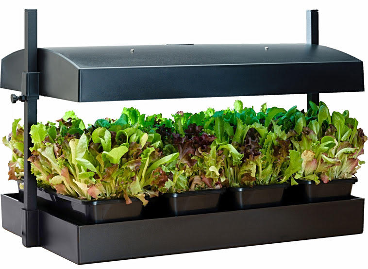 SunBlaster Growlight Garden Indoor Vegetable Garden