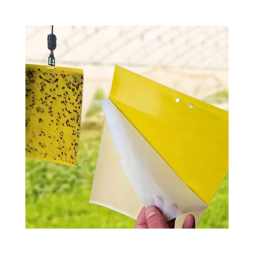 Pièges à insectes collants jaunes