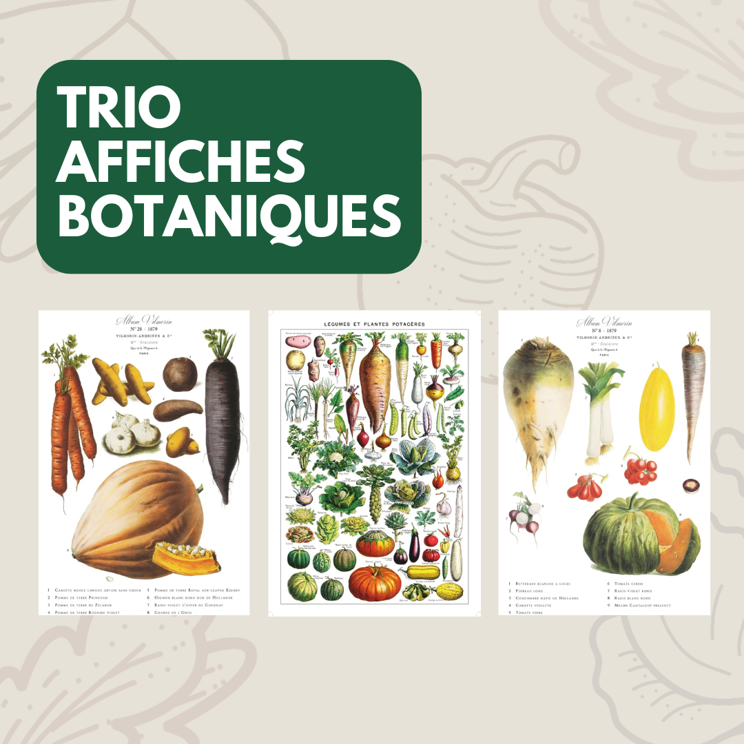 Trio d’affiches — Édition Fête des Mères