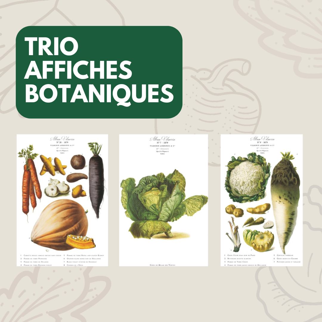 Trio d’affiches - Édition Fête des Mères