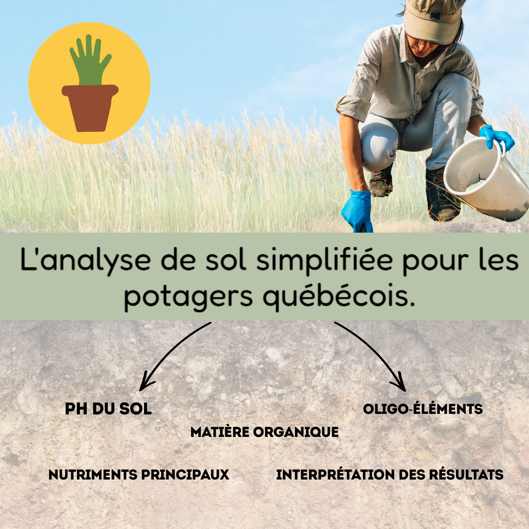 La Main Verte - Analyse de sol