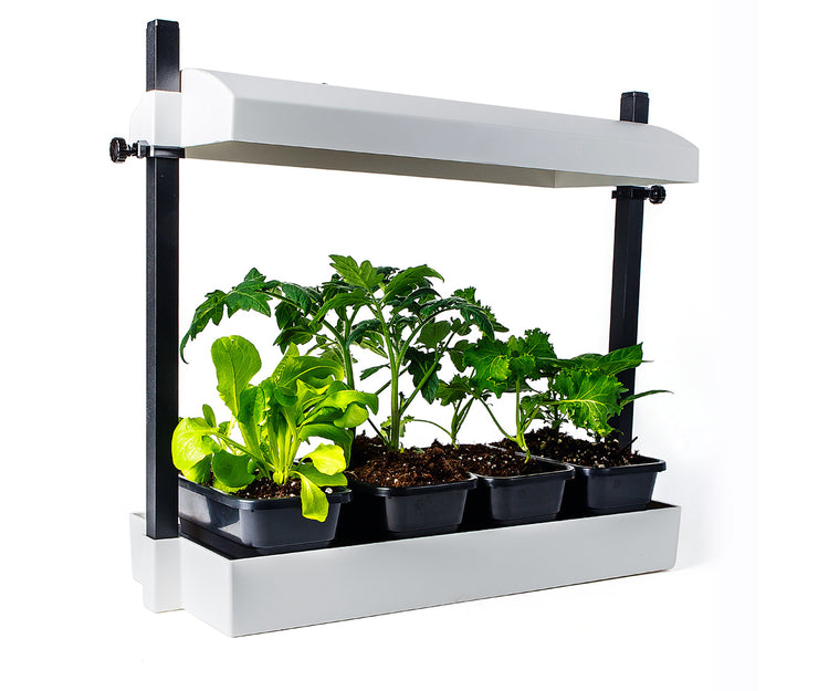 SunBlaster Growlight Garden Indoor Micro Garden