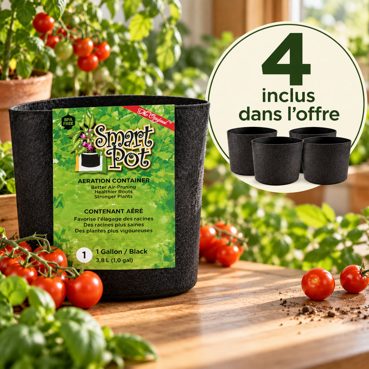 Potager de tomates intérieur