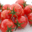 Tomate cocktail Pink Bumblebee - Bio