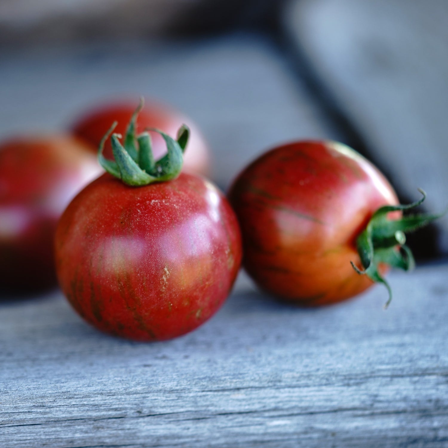 Tomate cocktail Pink Bumblebee - Bio