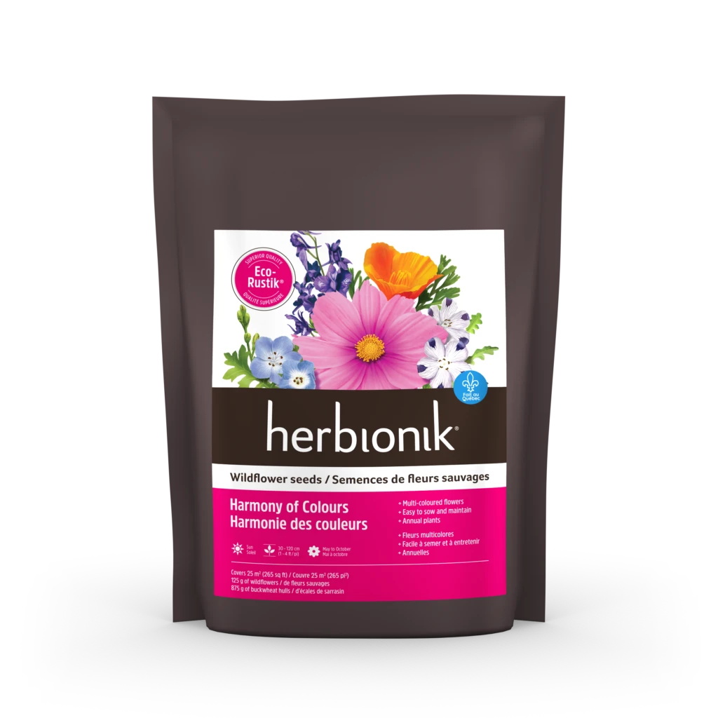 Semences de fleurs - Harmonie de couleurs