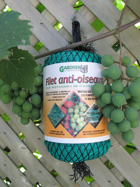 Filet anti-oiseaux pour jardin, barrière pour plantes, protection des arbres  fruitiers, semis et plantes
