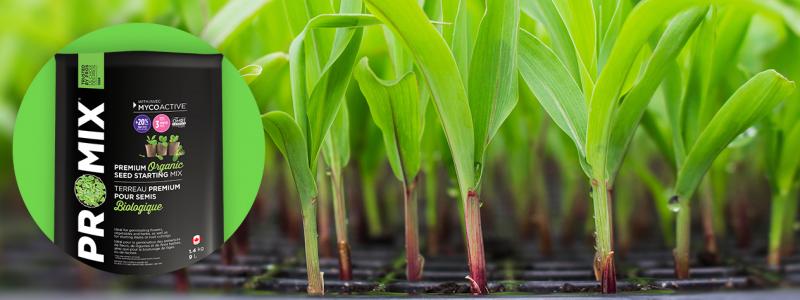 Terreau Premium biologique pour semis de PRO-MIX - Jardins de l'écoumène