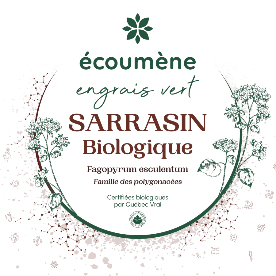 ⇒ Infusion Sarrasin Certifié Agriculture Biologique - Graine Sarrazin  Torréfié