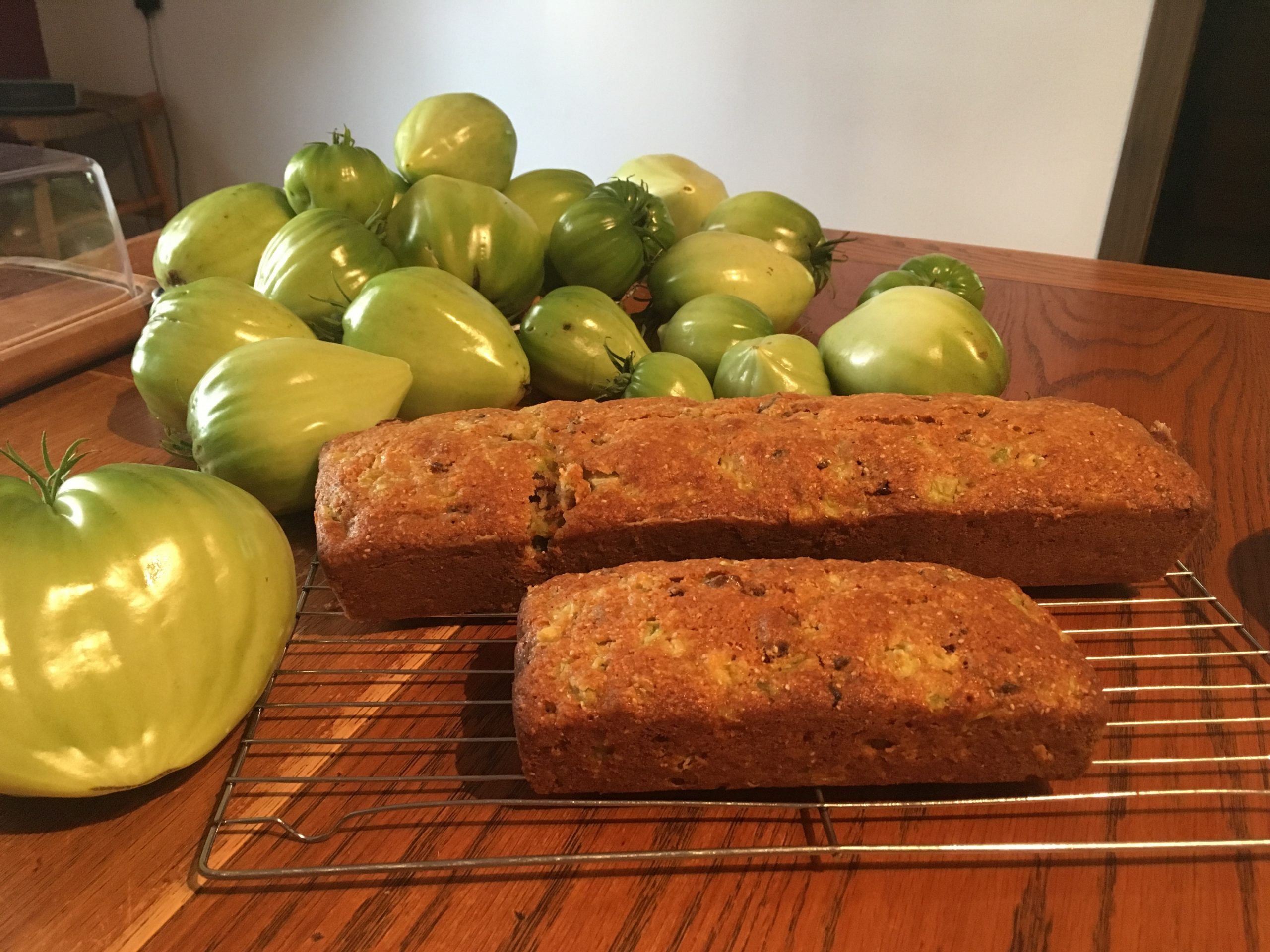 Tomate italienne San Marzano - Bio - Jardins de l'écoumène