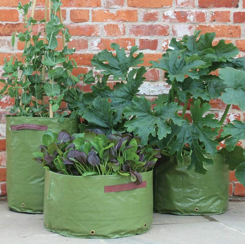 GardenTool – sac de culture de pommes de terre, sacs de culture de légumes  PE avec poignée épaissie, sac de culture de légumes oignon, Pot de jardin  en plein air