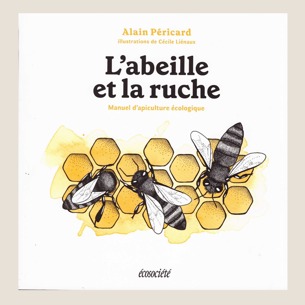 Abeilles Grouillant Sur La Macro Extrême De Nid D'abeilles . Insectes  Travaillant Dans La Ruche En Bois Réunissant Le Nectar De Po Photo stock -  Image du animal, fleur: 192627812