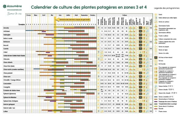 Calendrier de culture - Zone 3-4