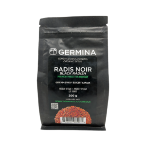 Radis noir à germer - sachet