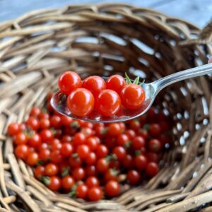 Tomate cerise Spoon